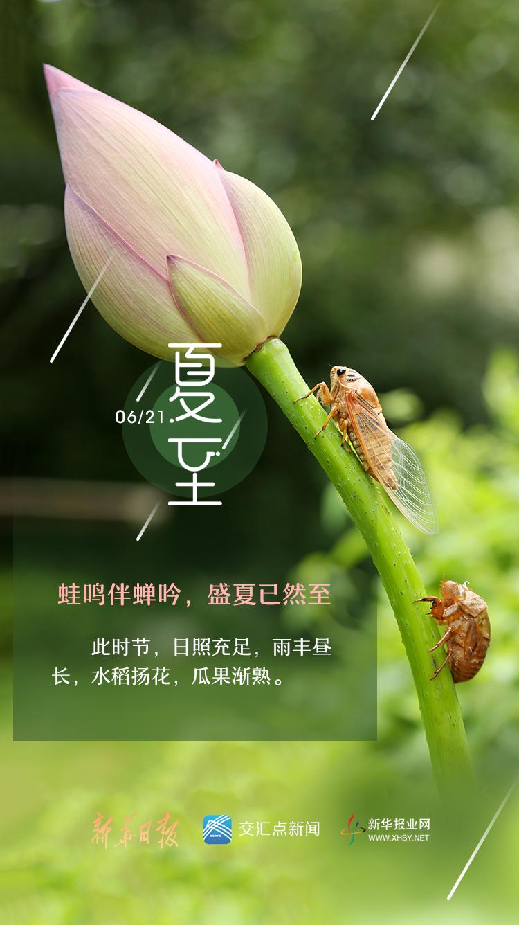 今天是夏至吗？——夏至的意义与庆祝，夏至的意义与庆祝，探寻夏至的传统文化与庆祝方式