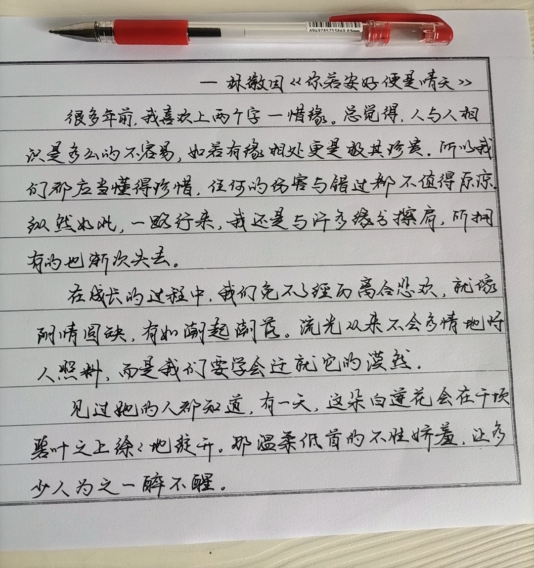 2024年新闻摘抄，科技、社会与经济的新动态，2024年科技、社会与经济的新动态概览