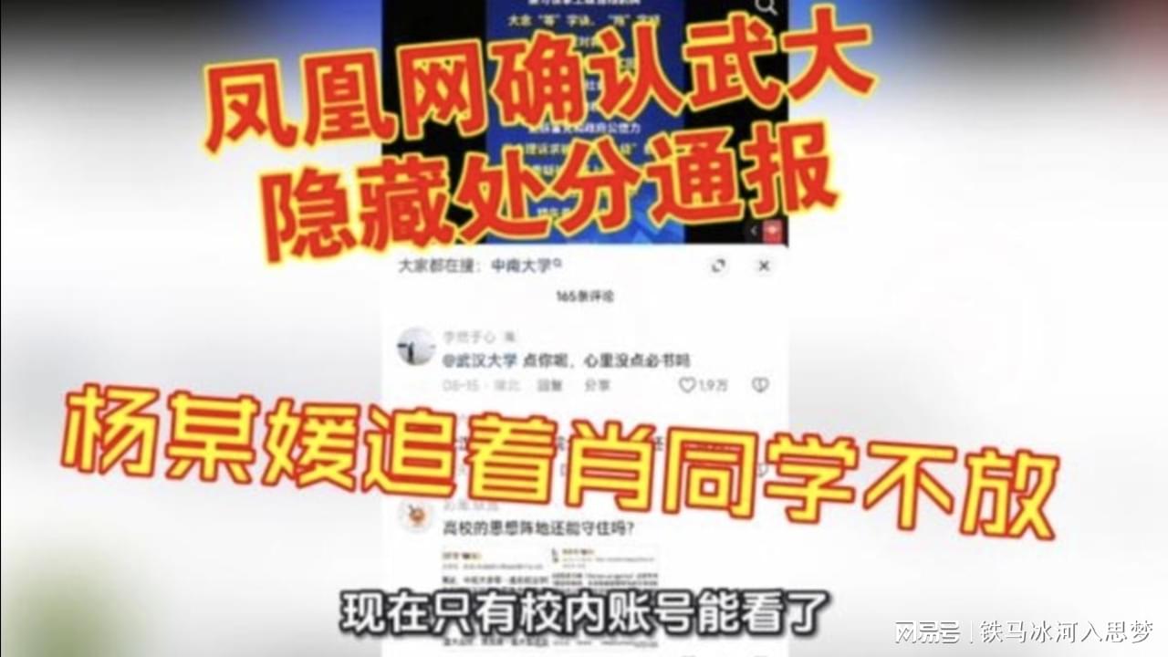 揭秘最准一码一肖，揭秘背后的秘密与凤凰网的故事，揭秘一码一肖背后的真相，与凤凰网的故事揭秘