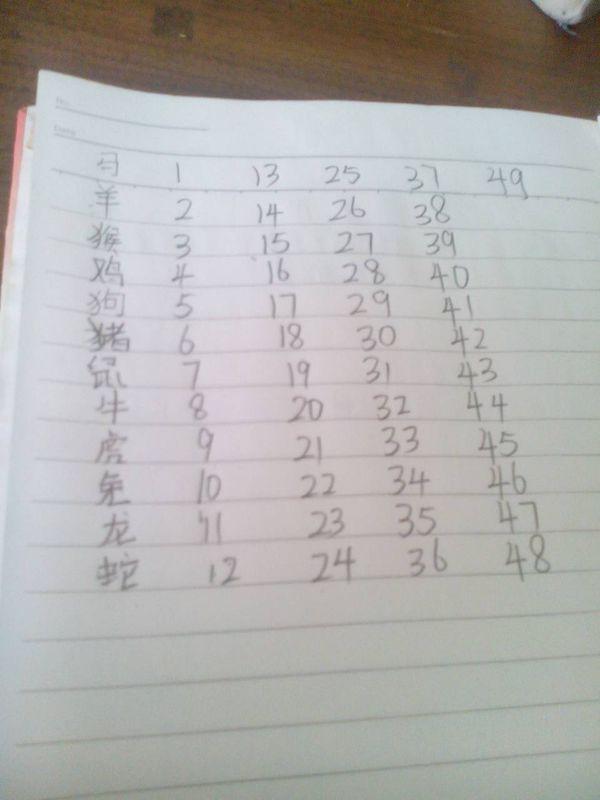 揭秘2025十二生肖与49码表的不解之缘，揭秘十二生肖与49码表的不解之缘，预测未来的神秘联系