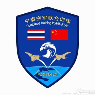 空军飞行标志图片，象征力量与荣耀的徽章，空军飞行标志徽章，力量与荣耀的象征图片展示