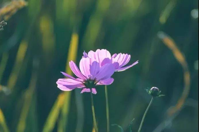 直-18终极大改,重塑经典,展现全新风采,直-18全新重塑,经典升级展现独特风采