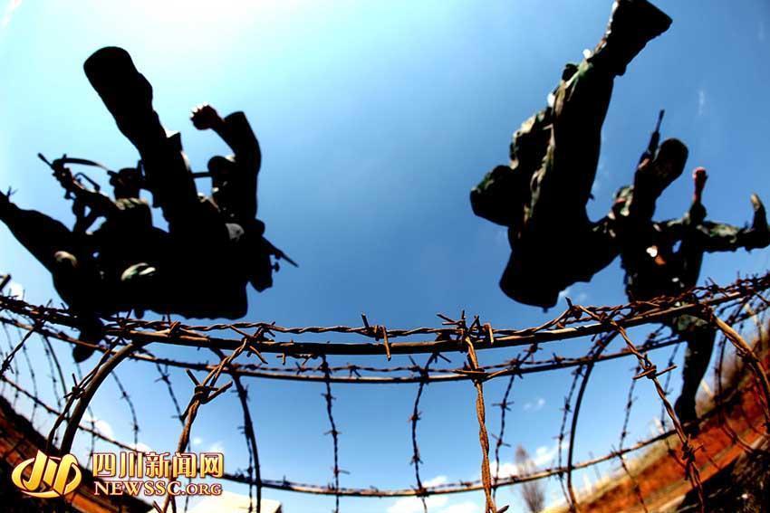 黎登贵去向，探索与启示，黎登贵的去向，深度探索与启示