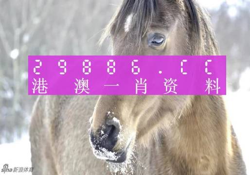 澳门一肖一码100精准正版诗象，探寻幸运的秘密与文化的魅力，澳门一肖一码正版诗象，探寻幸运与文化魅力的秘密之旅