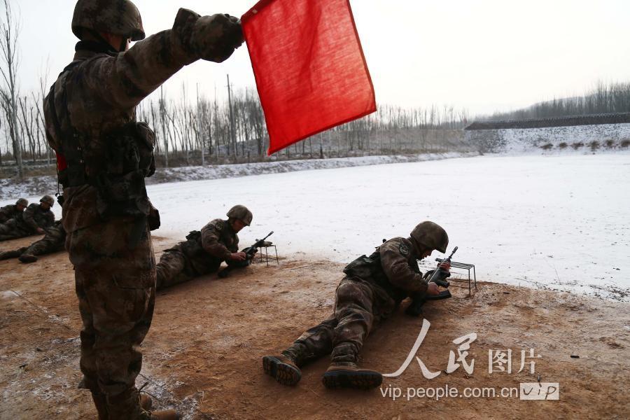 第12集团军，维基百科视角下的历史与现状，维基百科视角下的第12集团军历史与现状