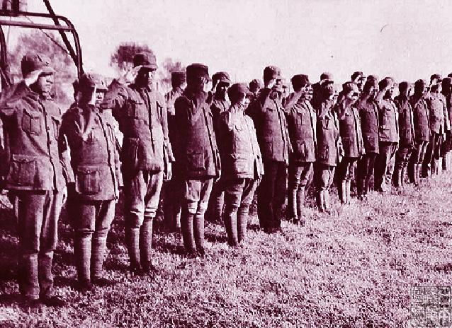 最多人喜欢看的军事新闻,全球军事动态与热点解析,全球热门军事新闻动态与热点解析