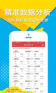 王中王与肖选一肖，探寻命运之轮中的奥秘，王中王与肖选一肖，命运之轮中的奥秘探寻