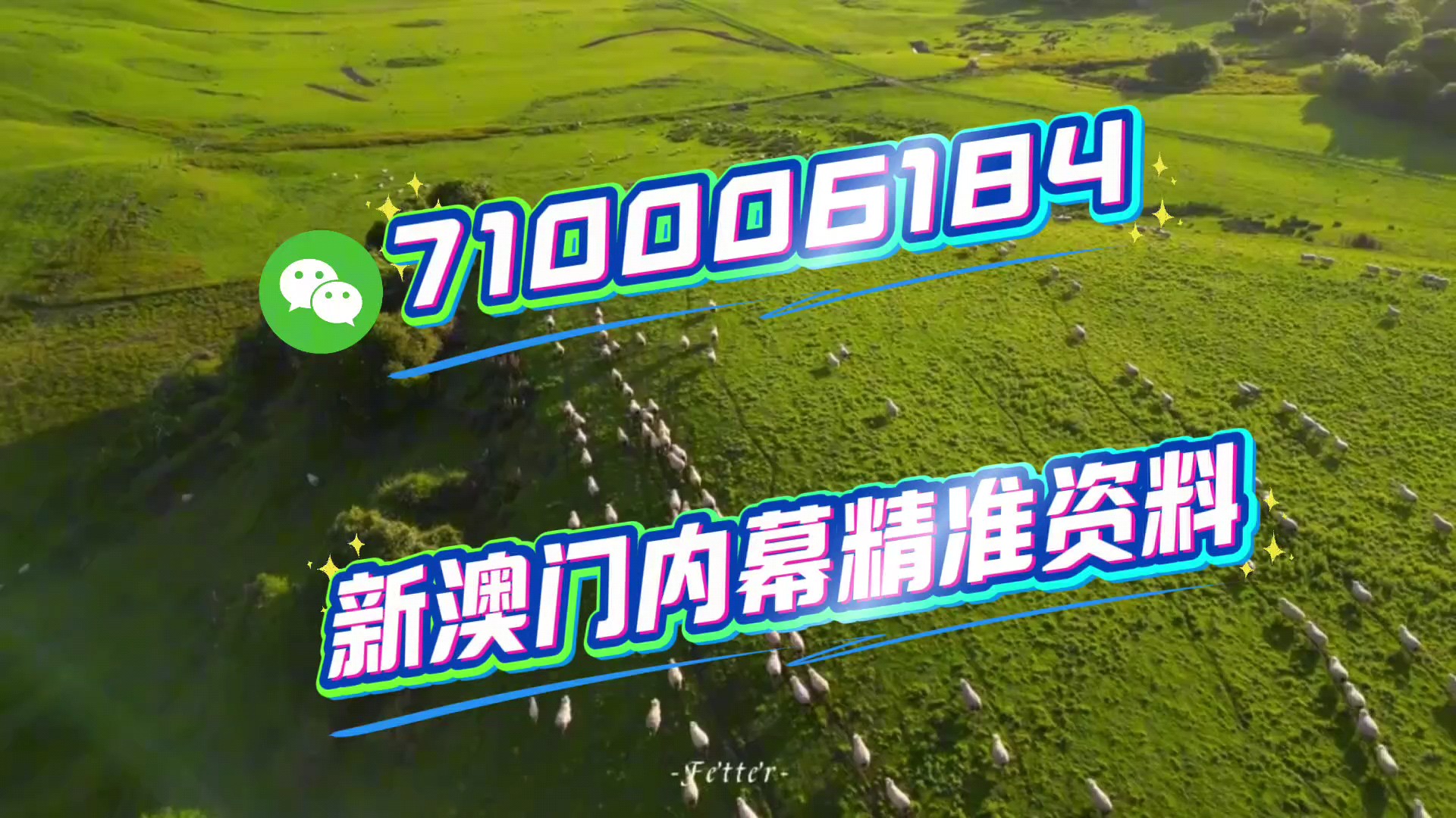 内部二肖二码,揭秘与探索,内部二肖二码,揭秘与探索的神秘面纱