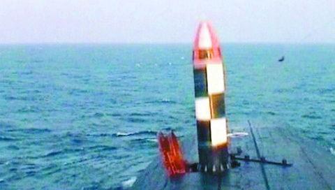 探索白杨M结构照片的魅力,白杨M结构照片的魅力探索