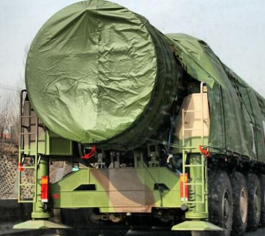 探索白杨M结构照片的魅力,白杨M结构照片的魅力探索