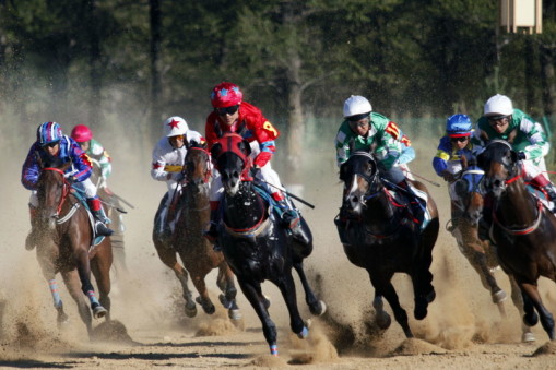 刘伯温四肖选一,预测背后的智慧与神秘,刘伯温四肖选一,智慧与神秘的预测之道