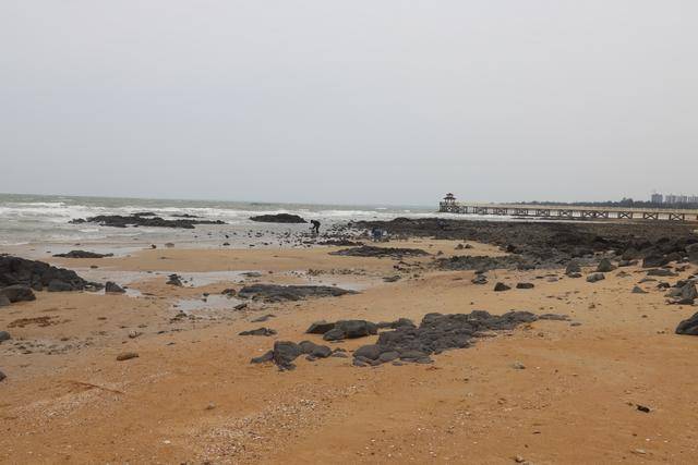 解放军为什么选择临高角登陆,解放军临高角登陆原因揭秘