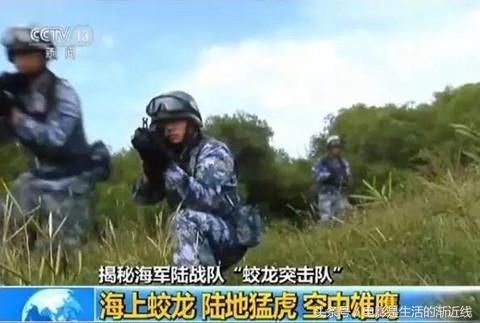 蛟龙突击队对决海豹突击队,一场战略与勇气的较量,蛟龙突击队与海豹突击队的战略勇气对决战