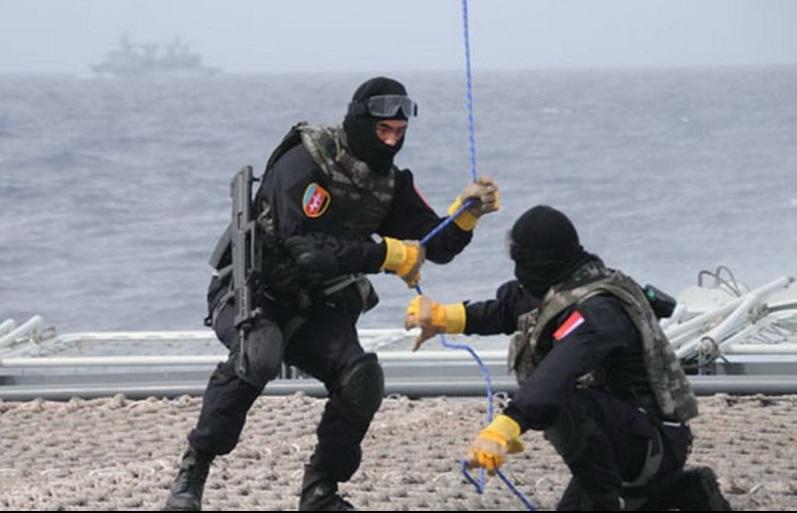 蛟龙突击队队员表及其卓越表现,蛟龙突击队队员表及卓越表现概览