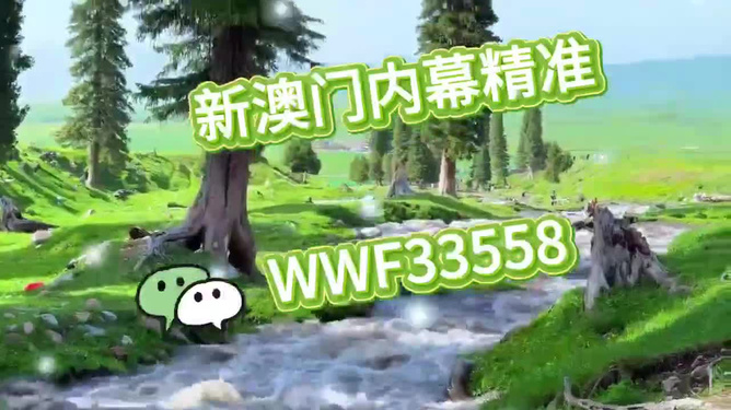 王中王一肖,探寻背后的故事与意义,王中王一肖,背后的故事与深层含义探索