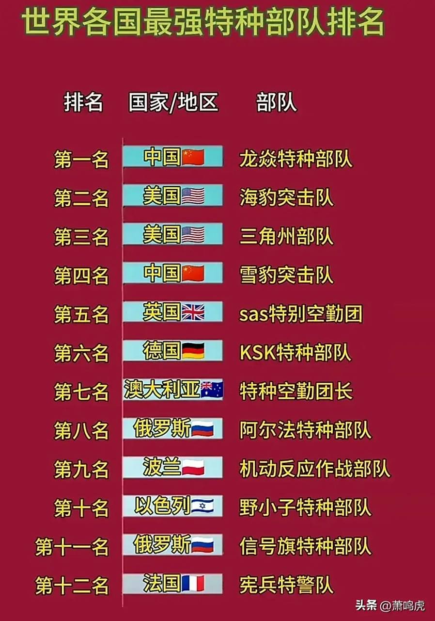 中国女特种兵排名,荣耀与实力的见证,中国女特种兵排名,荣耀与实力的巅峰见证