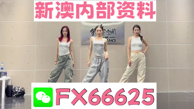 管家婆必出一中一特的奥秘,揭秘管家婆必出一中一特的奥秘