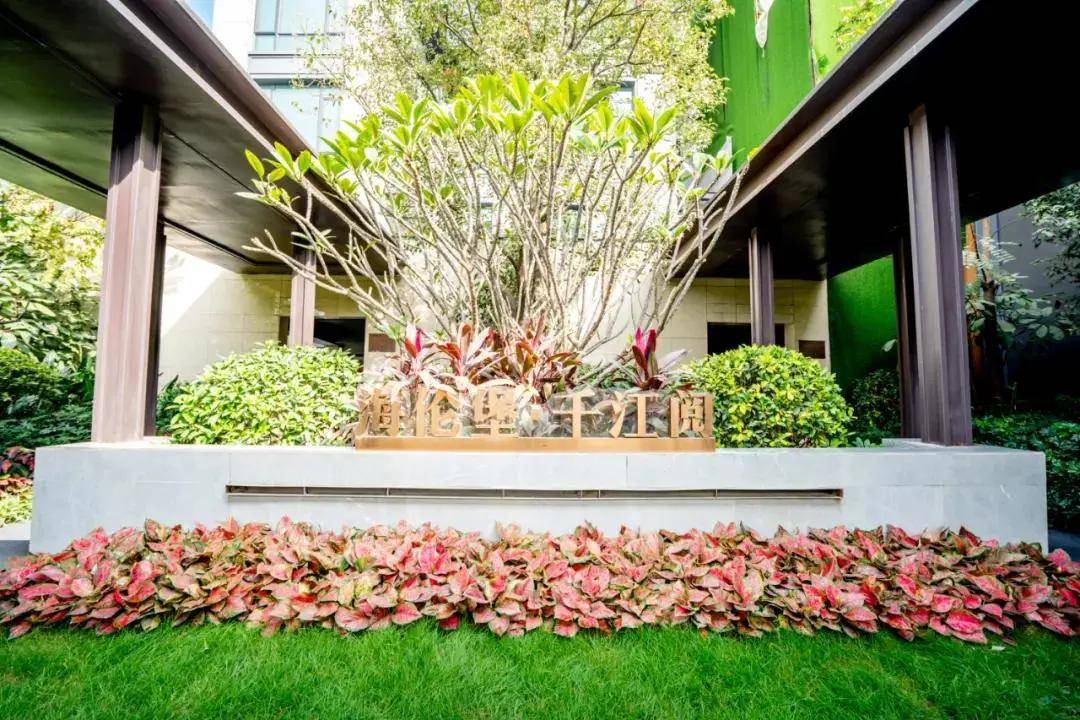 新澳门2025最快现场开奖直播,体验与探索,澳门直播开奖2025,现场体验与探索