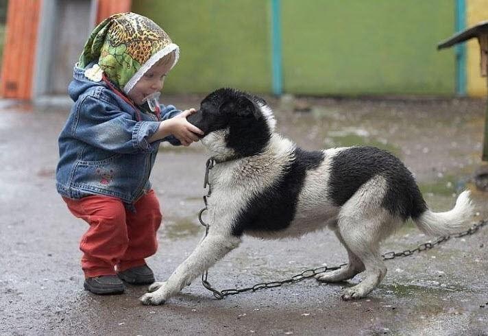 直十二直升机,空中力量的新标杆,直十二直升机,空中力量的新标杆