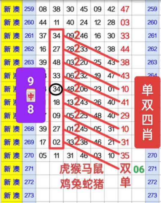 2025新澳近期50期记录