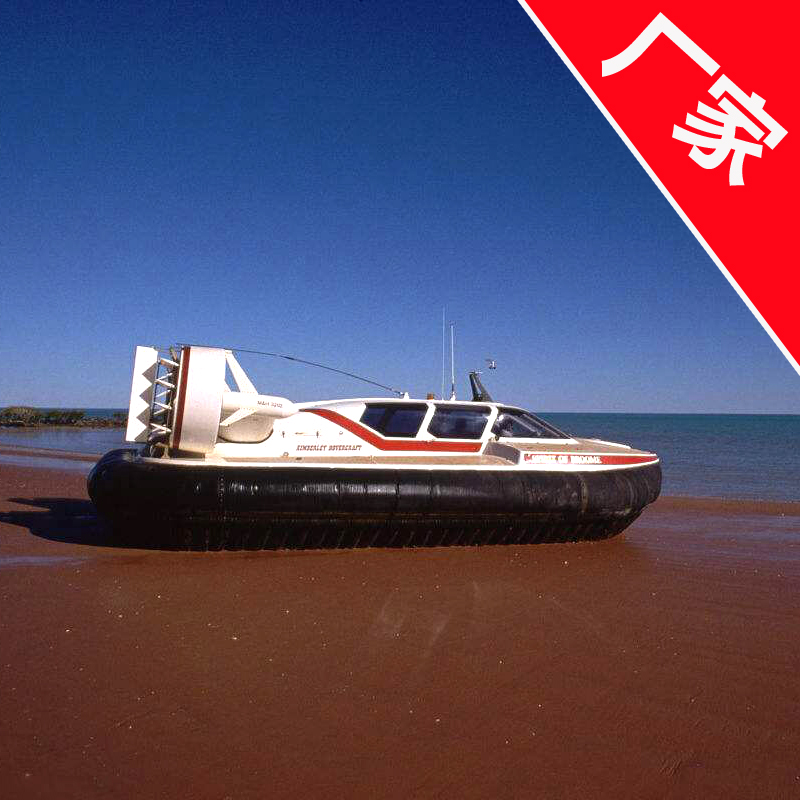 水陆两栖气垫船价格及其市场分析,水陆两栖气垫船价格与市场分析概览