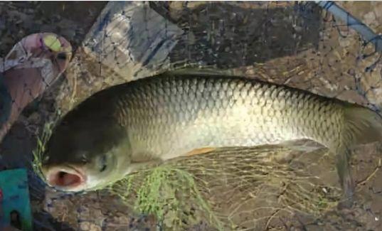 涡扇发动机,涡扇10C与涡扇15的对比研究,涡扇发动机研究,涡扇10C与涡扇15性能对比解析