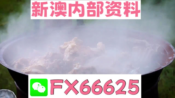 新澳全年免费资料大全,探索与收获,新澳全年免费资料大全,探索之旅与收获的时刻