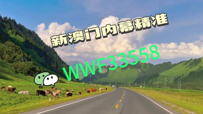 王中王一肖,特马与一马的传奇故事,王中王一肖,特马与一马的非凡传奇故事