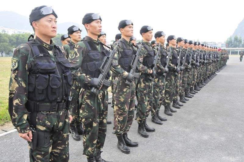 图片展示与解析