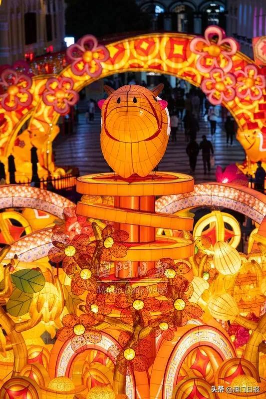 澳门六开彩开奖结果与金牛的奥秘,澳门六开彩开奖结果与金牛的神秘联系