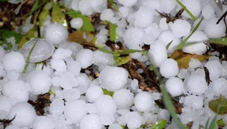 河北今日重大新闻纪实,河北今日重大新闻纪实揭秘