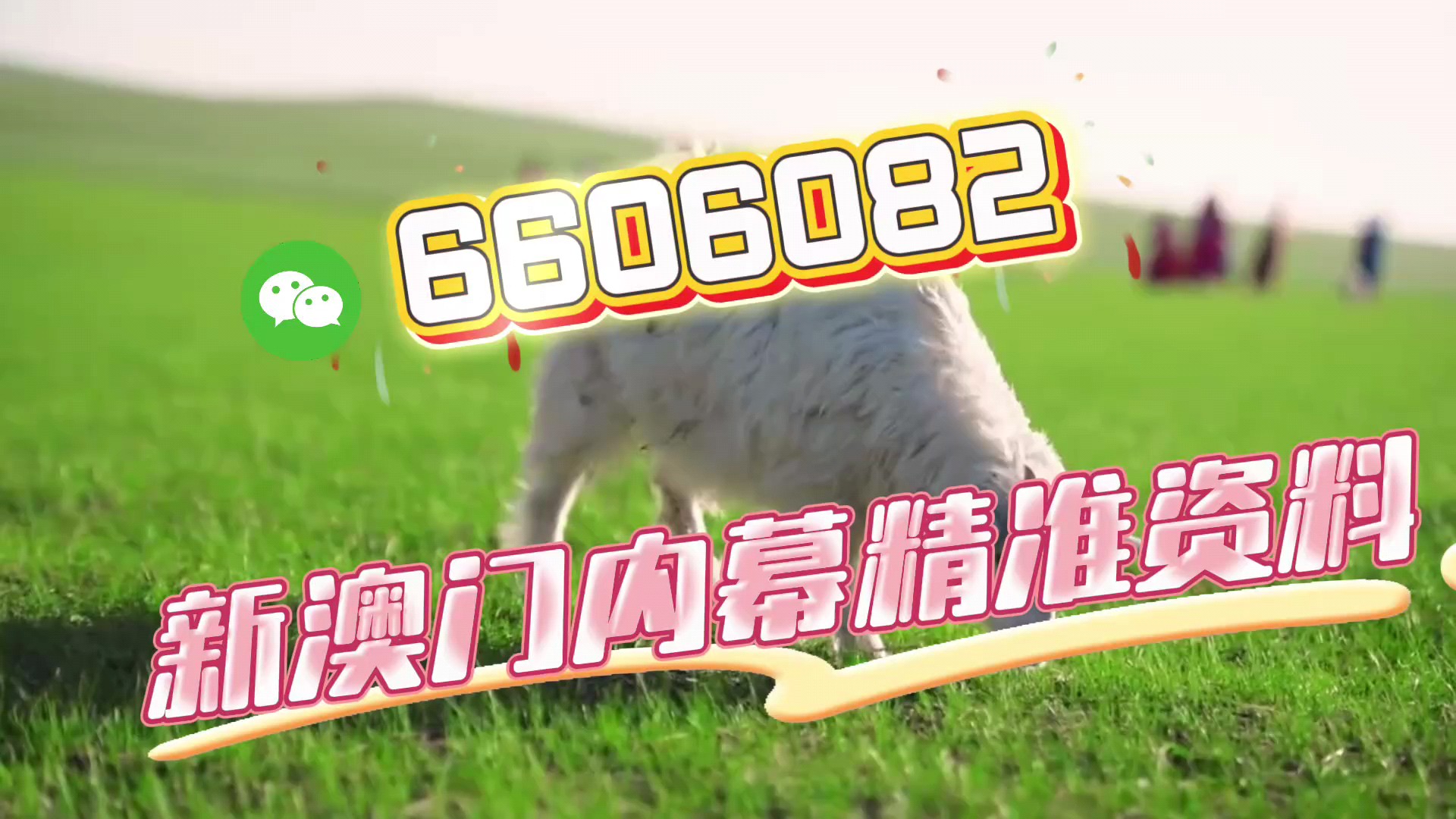 澳门一肖中特王中王,探索与解读,澳门一肖中特王中王,深度解读与探索