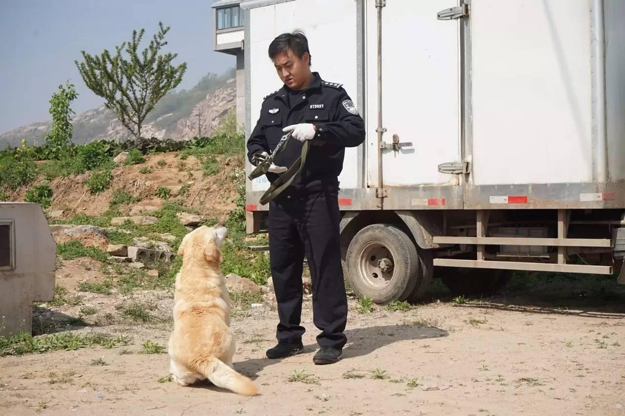 2005年国庆大阅兵，展现国家力量与民族精神，2005年国庆大阅兵，展现国家力量与民族精神的壮丽画卷