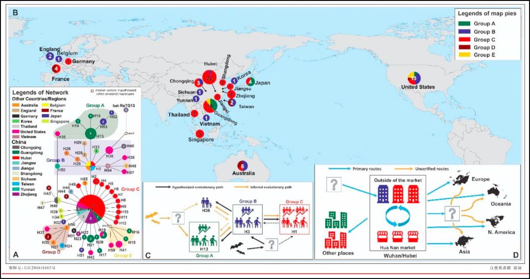 华南海鲜市场并非新冠病毒发源地,华南海鲜市场与新冠病毒起源之谜
