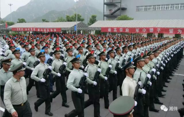 中国女兵方队身高揭秘,一道独特的风景线,中国女兵方队身高揭秘,独特风景线展英姿