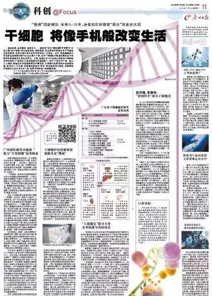 世界新闻报干细胞封面人物——揭示生命之源的杰出科学家，干细胞研究揭秘生命之源，杰出科学家封面人物报道世界新闻报