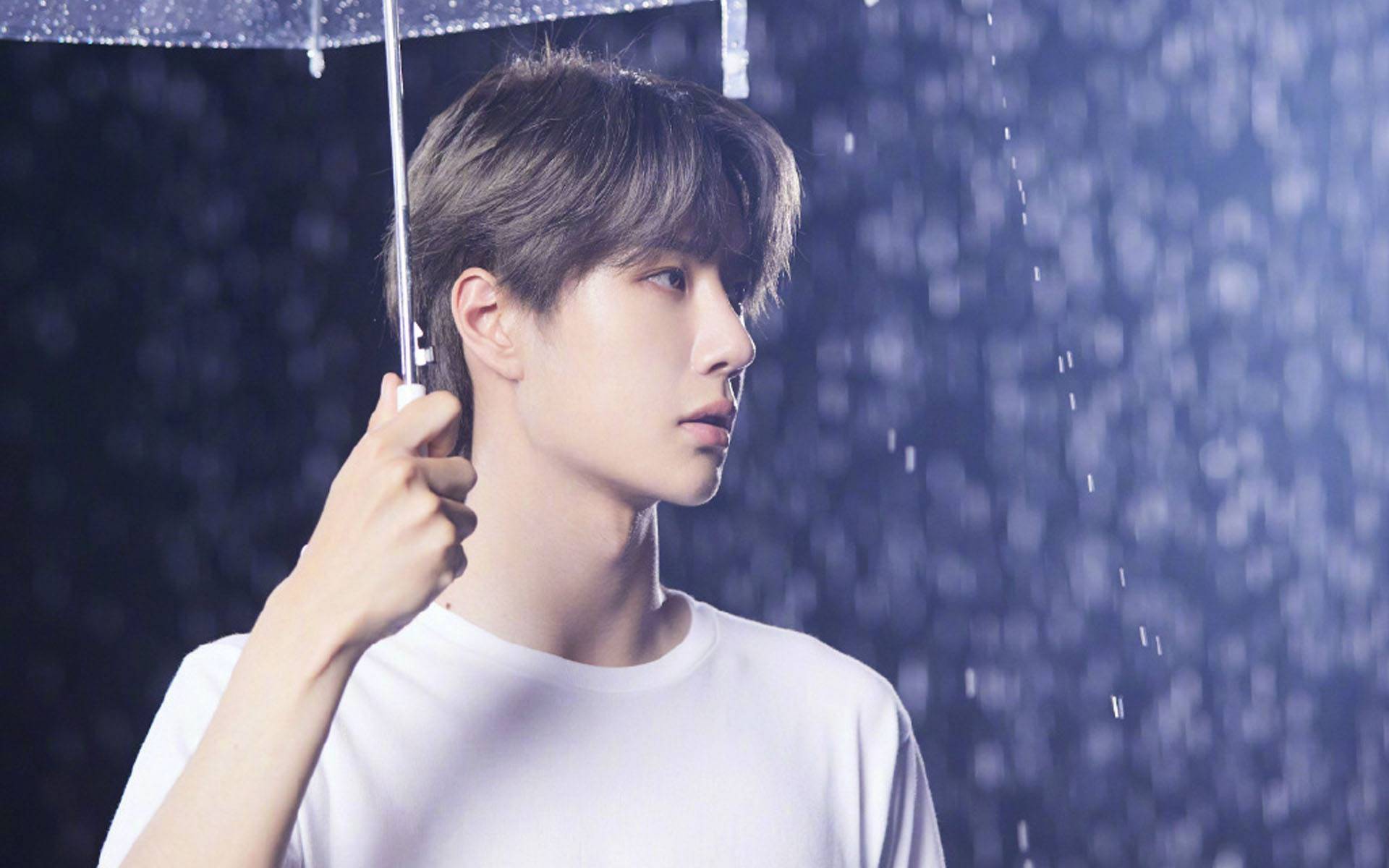 王中王一肖中特准丶稳——精准预测的魅力与力量,精准预测的魅力与力量,王中王一肖的稳定预测