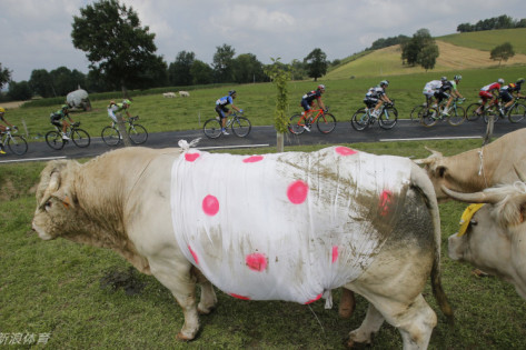 神秘预测真相探索
