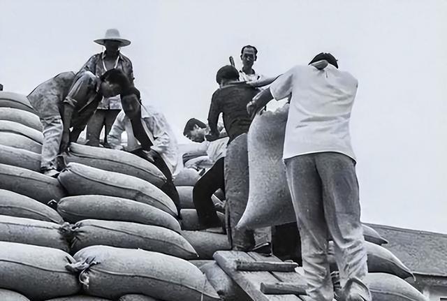 深度解析,2020环太平洋联合军演,深度解析,环太平洋联合军演全景展示与战略意义(附详细报道)