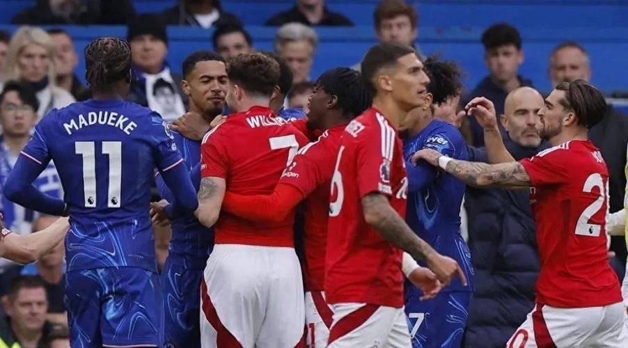 新奥2025年免费资料大全概览，新奥2025年免费资料大全全面解析