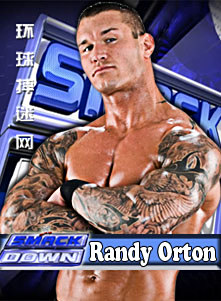 澳彩资料免费的资料大全WWE,探索与解析,澳彩资料免费大全,WWE的探索与解析