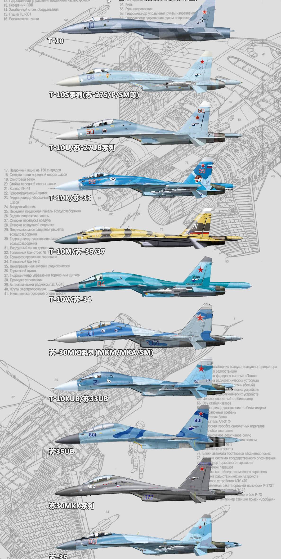 中国还有多少苏-27战斗机,现状分析与未来展望,中国苏-27战斗机的现状分析与未来展望,数量、现状与前景展望