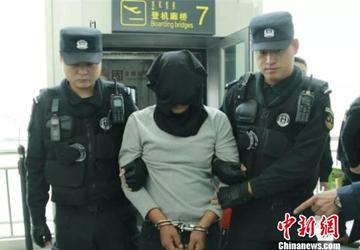 免费提供资料一肖一码,探索与分享的价值,一肖一码资料免费分享,探索与价值的分享之旅