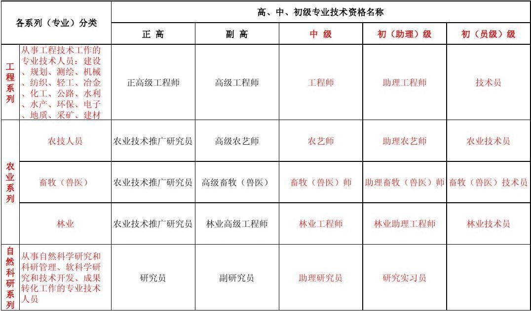 政府职称级别一览表,政府职称级别概览