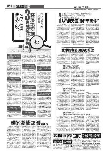 士兵衔级制度，构建军事力量的基石，士兵衔级制度，军事力量的构建基石