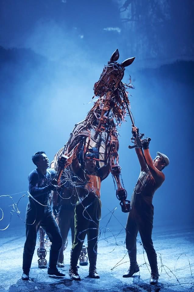 中国第一铁网,历史与现代的交融,中国第一铁网,历史与现代的完美交融