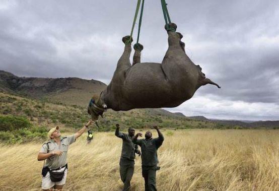 今天全球新闻头条,聚焦全球热点事件,解读世界发展动态,全球热点事件聚焦,解读世界发展动态今日头条速递