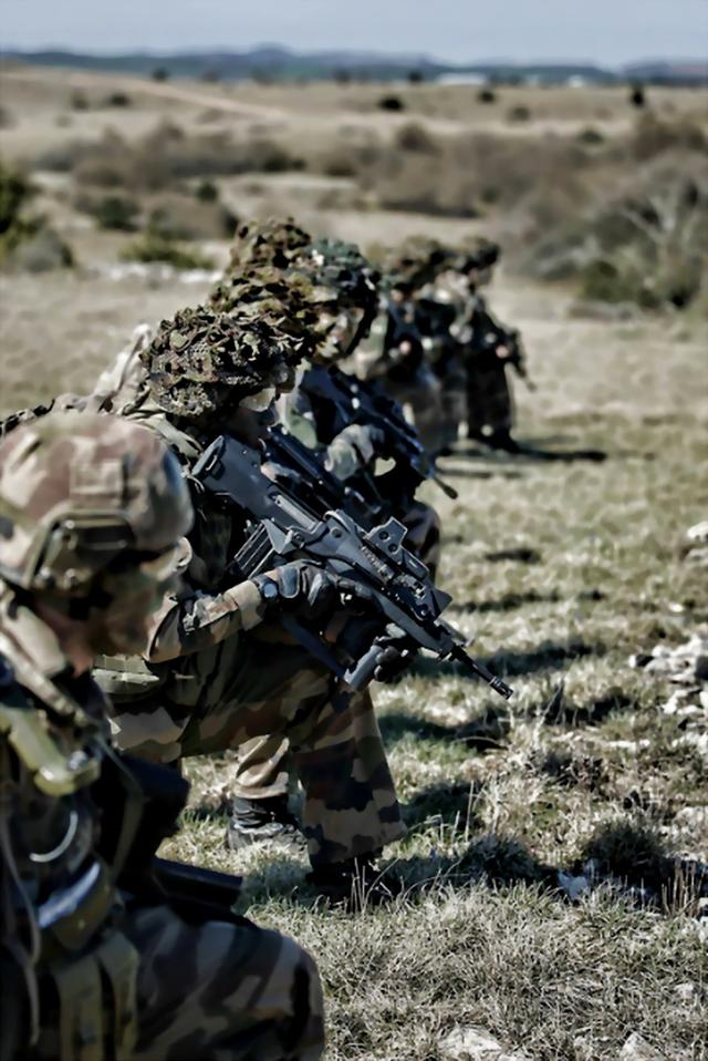 法国陆军,历史、现状和未来展望,法国陆军,历史沿革、现状解析与未来展望