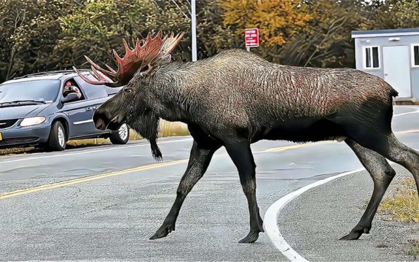探索与启示（或探索与启示之旅）