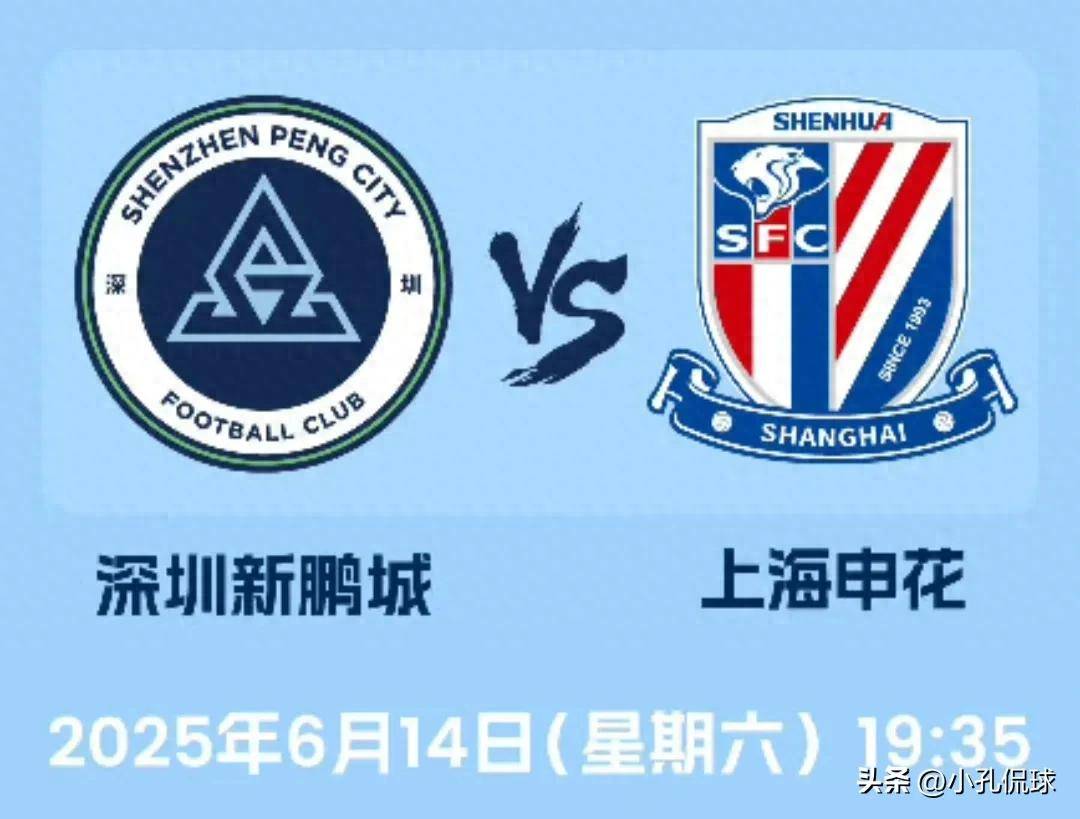 王中王一肖一特一中事件回顾,历程、影响与启示,王中王一肖一特一中事件深度解析,历程、影响与启示回顾